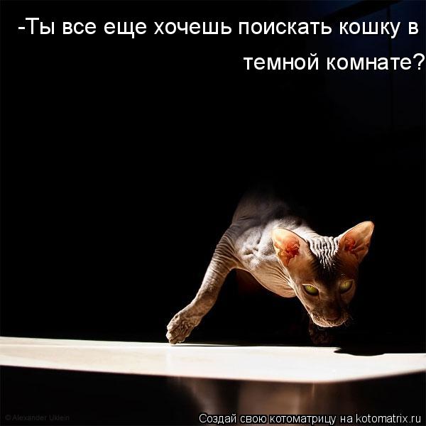 -Ты все еще хочешь поискать кошку в темной комнате?... Котоматрица: -Ты все еще хочешь поискать кошку в темной комнате?
