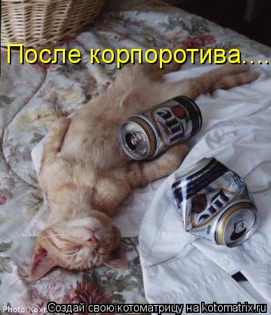 После корпоротива.......... Котоматрица: После корпоротива.......
