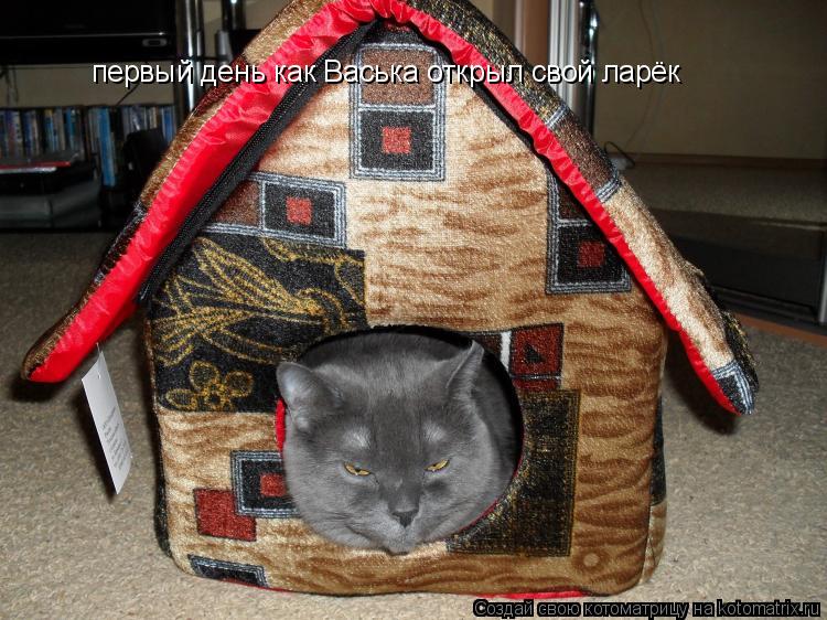 первый день как Васька открыл свой ларёк... Котоматрица: первый день как Васька открыл свой ларёк