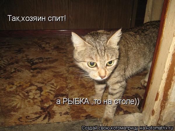 Так,хозяин спит! а РЫБКА ,то на столе))... Котоматрица: Так,хозяин спит! а РЫБКА ,то на столе))