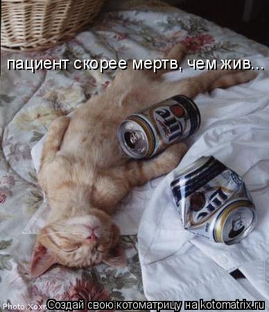 пациент скорее мертв, чем жив...... Котоматрица: пациент скорее мертв, чем жив...