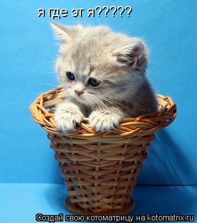 я где эт я?????... Котоматрица: я где эт я?????