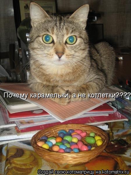 Почему карамельки, а не котлетки????... Котоматрица: Почему карамельки, а не котлетки????