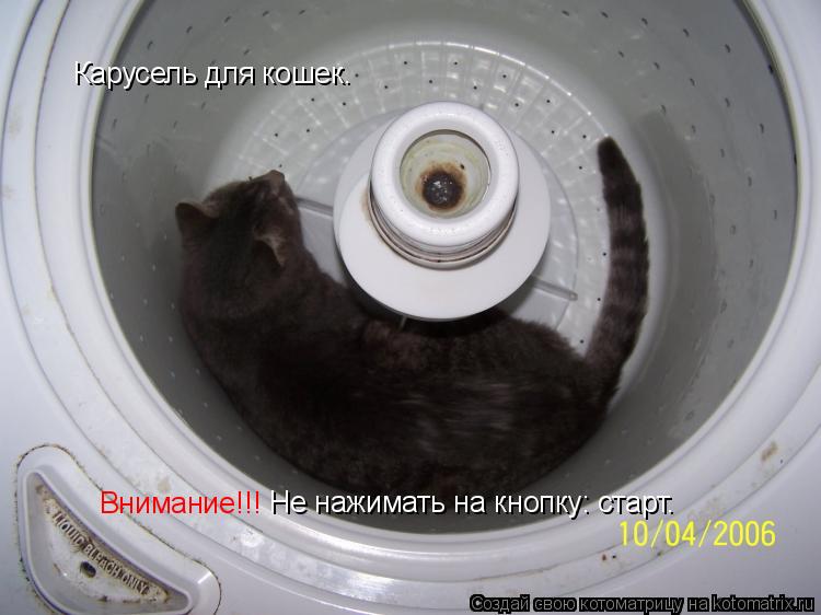 Котоматрица: Карусель для кошек. Внимание!!! Не нажимать на кнопку: старт.