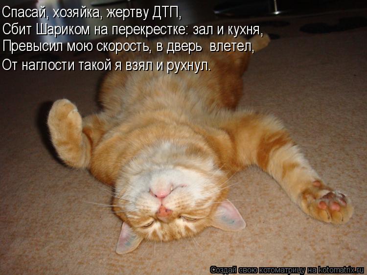 Спасай, хозяйка, жертву ДТП, Сбит Шариком на перекрестке: зал и кухня, От наглости такой я взял и рух... Котоматрица: Спасай, хозяйка, жертву ДТП, Сбит Шариком на перекрестке: зал и кухня, От наглости такой я взял и рухнул. Превысил мою скорость, в дверь влете