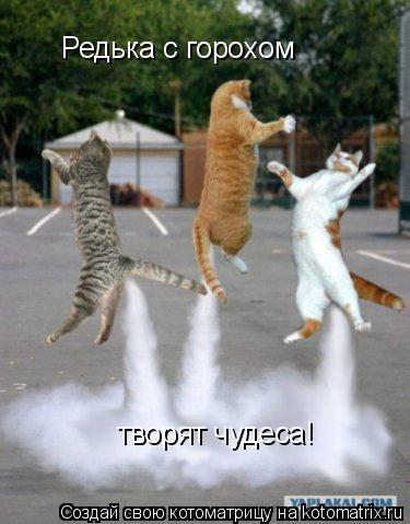 Котоматрица: Редька с горохом творят чудеса!