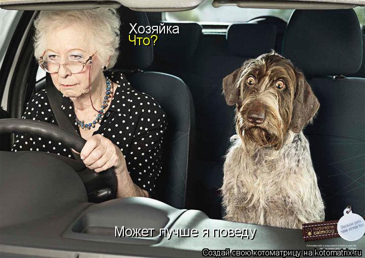 Котоматрица: Хозяйка Что? Может лучше я поведу