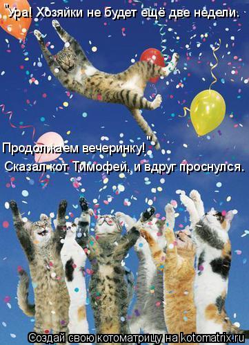 Котоматрица: Ура! Хозяйки не будет ещё две недели. Продолжаем вечеринку! " " Сказал кот Тимофей, и вдруг проснулся.