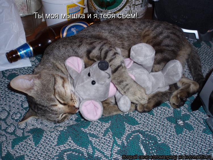 Ты моя мышка и я тебя съем!... Котоматрица: Ты моя мышка и я тебя съем!