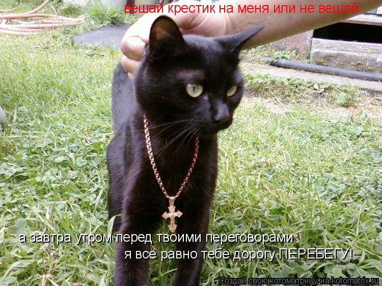 а завтра утром перед твоими переговорами я все равно тебе дорогу ПЕРЕБЕГУ! вешай крестик на меня или... Котоматрица: а завтра утром перед твоими переговорами я все равно тебе дорогу ПЕРЕБЕГУ! вешай крестик на меня или не вешай..