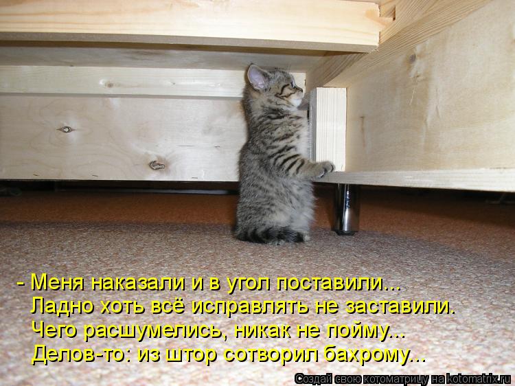 - Меня наказали и в угол поставили... Ладно хоть всё исправлять не заставили. Чего расшумелись, никак... Котоматрица: - Меня наказали и в угол поставили... Ладно хоть всё исправлять не заставили. Чего расшумелись, никак не пойму... Делов-то: из штор сотворил бах