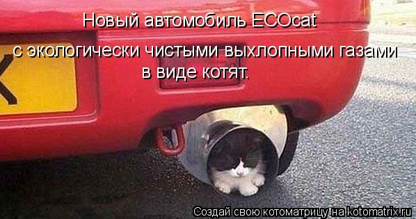 Котоматрица: Новый автомобиль ECOcat с экологически чистыми выхлопными газами в виде котят.