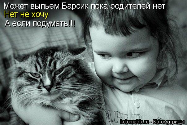 Котоматрица: Может выпьем Барсик пока родителей нет Нет не хочу А если подумать!!!