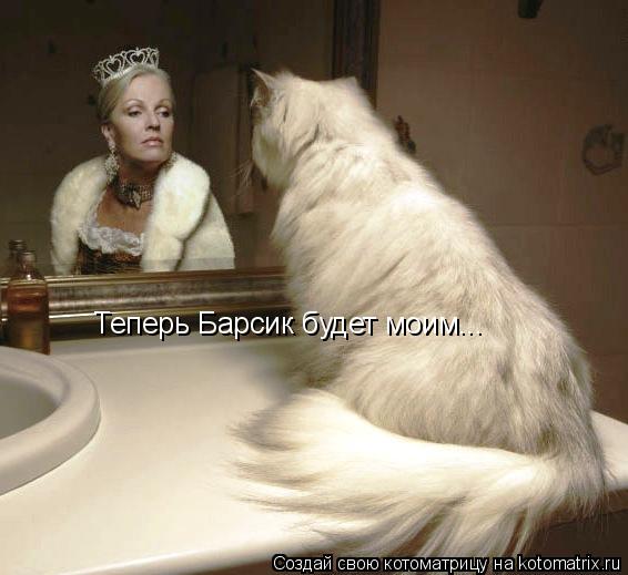 Теперь Барсик будет моим...... Котоматрица: Теперь Барсик будет моим...