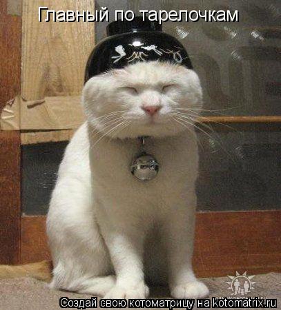 Главный по тарелочкам... Котоматрица: Главный по тарелочкам