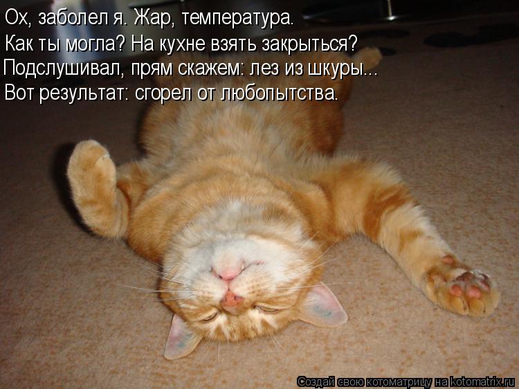 Ох, заболел я. Жар, температура. Как ты могла? На кухне взять закрыться? Вот результат: сгорел от люб... Котоматрица: Ох, заболел я. Жар, температура. Как ты могла? На кухне взять закрыться? Вот результат: сгорел от любопытства. Подслушивал, прям скажем: лез из