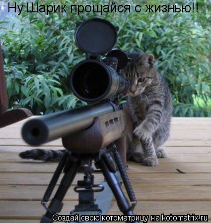 Ну Шарик прощайся с жизнью!!... Котоматрица: Ну Шарик прощайся с жизнью!!