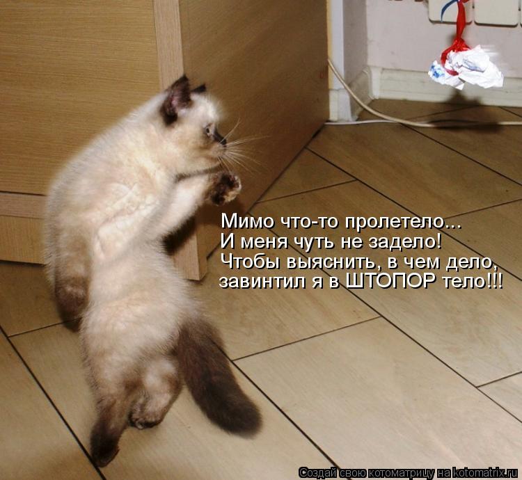 Мимо что-то пролетело... И меня чуть не задело! Чтобы выяснить, в чем дело, завинтил я в ШТОПОР тело!... Котоматрица: Мимо что-то пролетело... И меня чуть не задело! Чтобы выяснить, в чем дело, завинтил я в ШТОПОР тело!!!