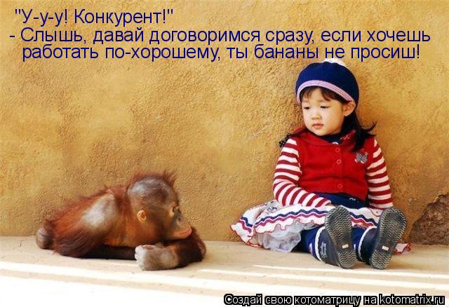 Котоматрица: "У-у-у! Конкурент!" - Слышь, давай договоримся сразу, если хочешь работать по-хорошему, ты бананы не просиш!
