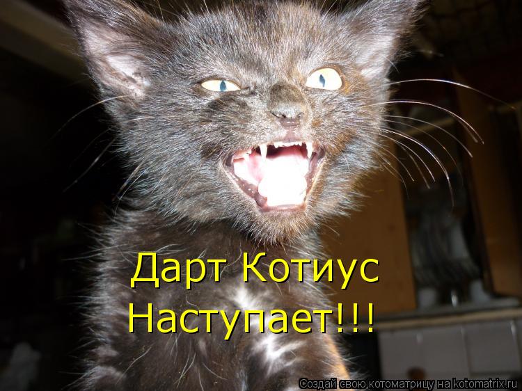 Дарт Котиус Наступает!!!... Котоматрица: Дарт Котиус Наступает!!!