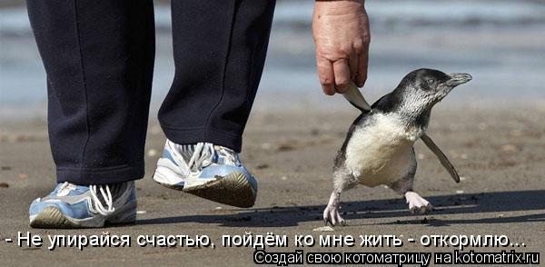 - Не упирайся счастью, пойдём ко мне жить - откормлю...... Котоматрица: - Не упирайся счастью, пойдём ко мне жить - откормлю...