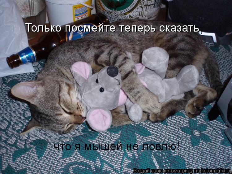 Только посмейте теперь сказать, что я мышей не ловлю!... Котоматрица: Только посмейте теперь сказать, что я мышей не ловлю!