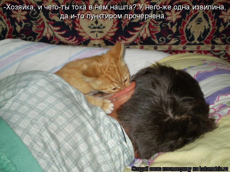 Котоматрица: -Хозяйка, и чего-ты тока в нем нашла? У него-же одна извилина, да и-то пунктиром прочерчена...