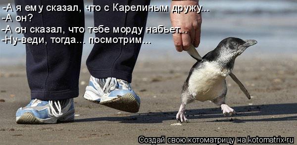Котоматрица: -А я ему сказал, что с Карелиным дружу... -А он? -А он сказал, что тебе морду набьет... -Ну-веди, тогда... посмотрим...