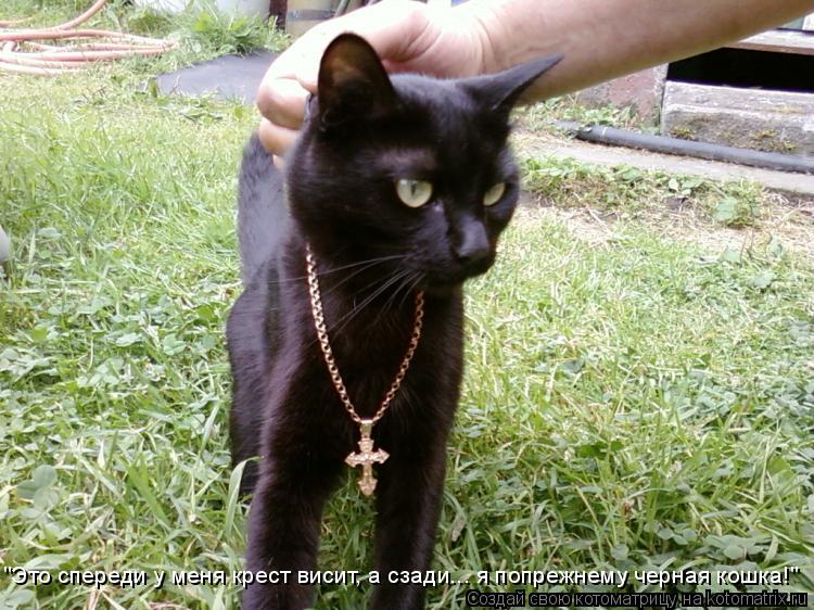 Котоматрица: "Это спереди у меня крест висит, а сзади... я попрежнему черная кошка!"
