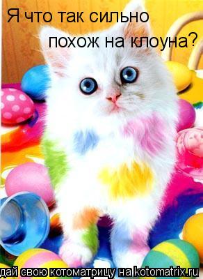 Котоматрица: Я что так сильно похож на клоуна ?