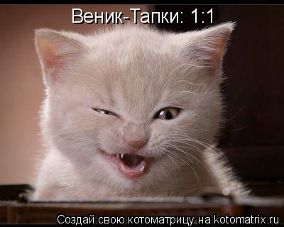 Котоматрица: Веник-Тапки: 1:1