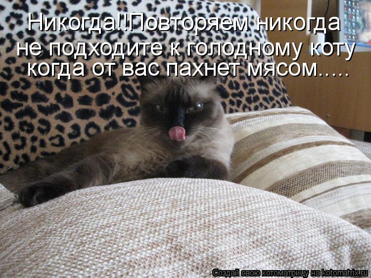 Никогда!!Повторяем никогда не подходите к голодному коту когда от вас пахнет мясом........ Котоматрица: Никогда!!Повторяем никогда не подходите к голодному коту когда от вас пахнет мясом.....