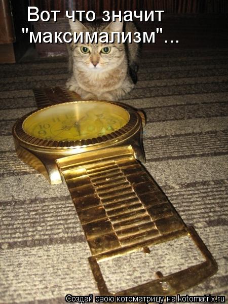 Вот что значит "максимализм"...... Котоматрица: Вот что значит "максимализм"...