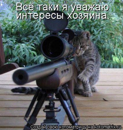 Всё таки я уважаю интересы хозяина.... Котоматрица: Всё таки я уважаю интересы хозяина.