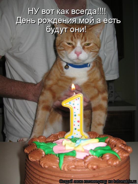НУ вот как всегда!!!! День рождения мой а есть будут они!... Котоматрица: НУ вот как всегда!!!! День рождения мой а есть будут они!