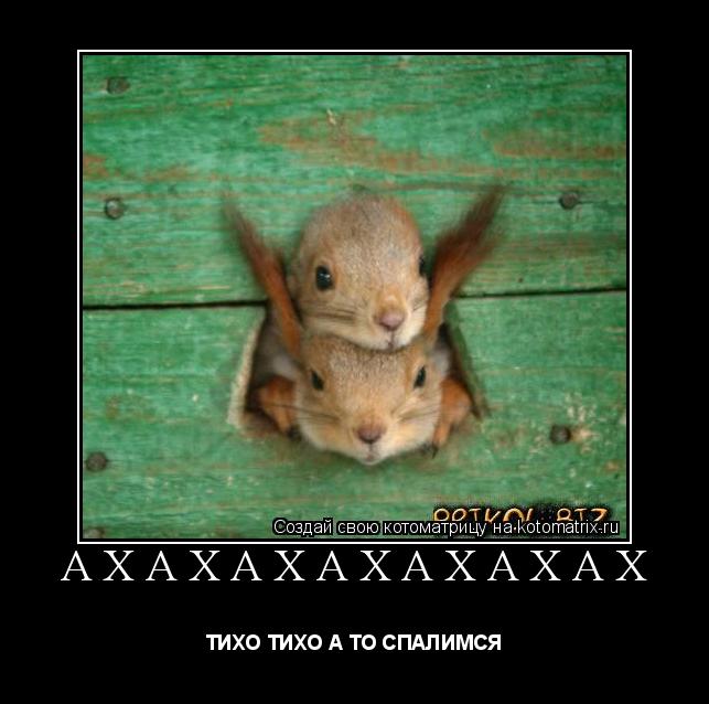АХАХАХАХАХАХАХ ТИХО ТИХО А ТО СПАЛИМСЯ... Котоматрица: АХАХАХАХАХАХАХ ТИХО ТИХО А ТО СПАЛИМСЯ
