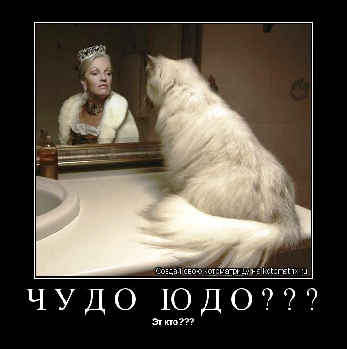 Чудо Юдо??? Эт кто???... Котоматрица: Чудо Юдо??? Эт кто???