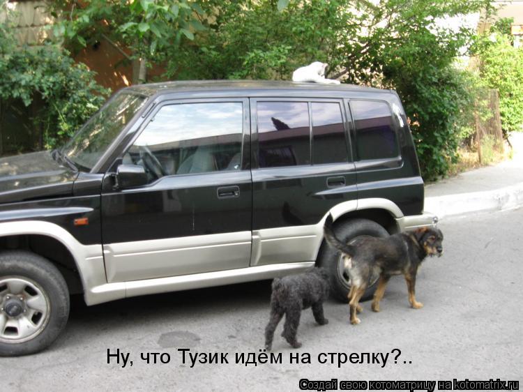 Ну, что Тузик идём на стрелку?..... Котоматрица: Ну, что Тузик идём на стрелку?..