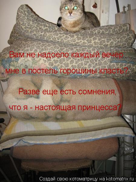 Вам не надоело каждый вечер мне в постель горошины класть? Разве еще есть сомнения, что я - настояща... Котоматрица: Вам не надоело каждый вечер мне в постель горошины класть? Разве еще есть сомнения, что я - настоящая принцесса?