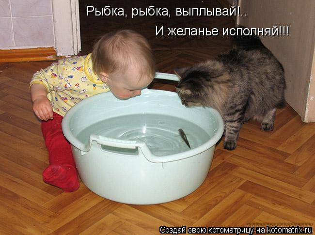 Рыбка, рыбка, выплывай!.. И желанье исполняй!!!... Котоматрица: Рыбка, рыбка, выплывай!.. И желанье исполняй!!!