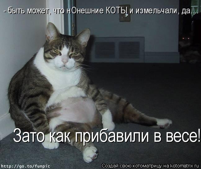 - быть может, что нОнешние КОТЫ и измельчали, да.... Зато как прибавили в весе!... Котоматрица: - быть может, что нОнешние КОТЫ и измельчали, да.... Зато как прибавили в весе!