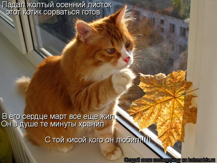 этот котик сорваться готов В его сердце март все еще жил Он в душе те минуты хранил Падал жолтый осен... Котоматрица: этот котик сорваться готов В его сердце март все еще жил Он в душе те минуты хранил Падал жолтый осенний листок С той кисой кого он любил!!!!!