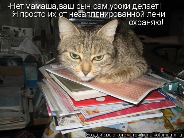 Котоматрица: -Нет,мамаша,ваш сын сам уроки делает! Я просто их от незаплпнированной лени охраняю!