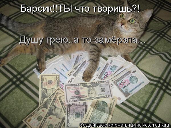 Котоматрица: Барсик!!ТЫ что творишь?! Душу грею..а то замёрзла...