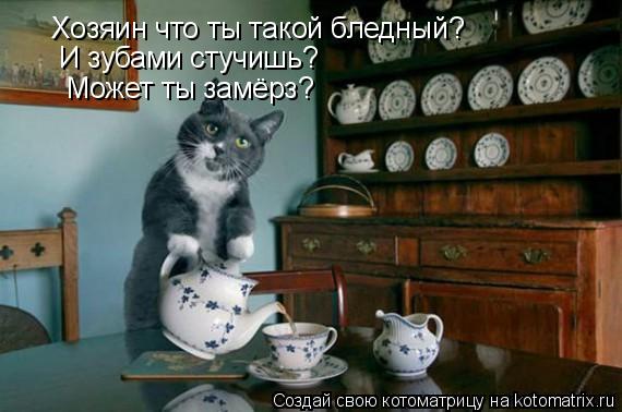 Котоматрица: Хозяин что ты такой бледный? И зубами стучишь? Может ты замёрз?