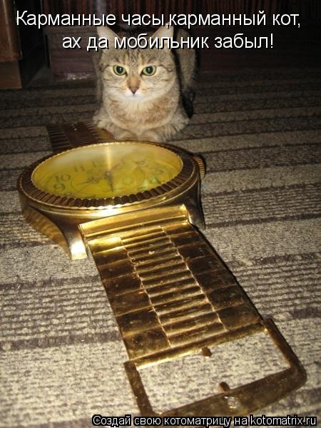 Котоматрица: Карманные часы, карманный кот, ах да мобильник забыл!