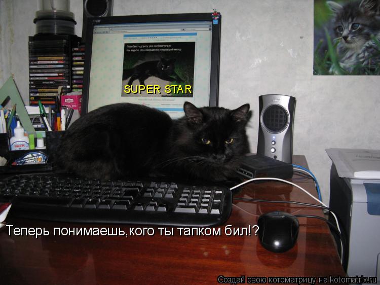 Теперь понимаешь,кого ты тапком бил!? SUPER STAR... Котоматрица: Теперь понимаешь,кого ты тапком бил!? SUPER STAR