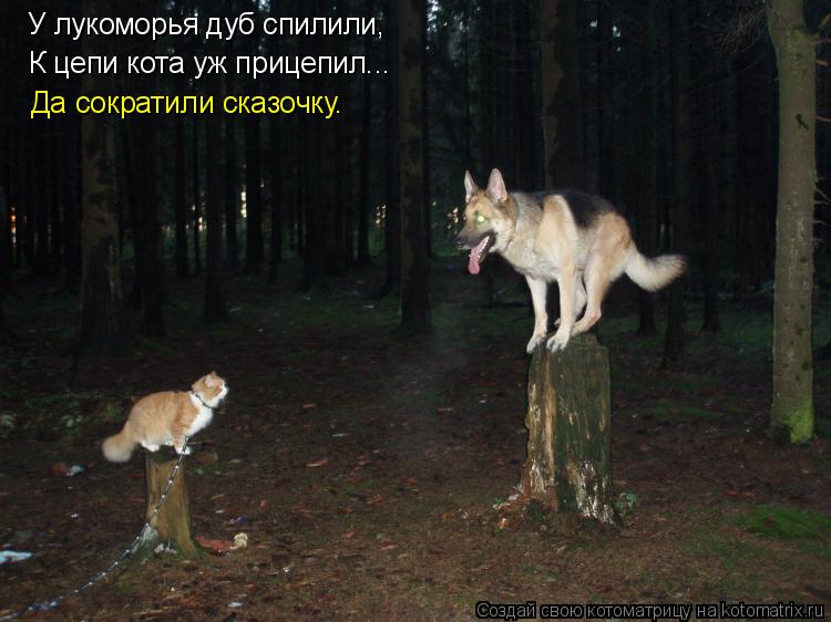 Котоматрица: У лукоморья дуб спилили, К цепи кота уж прицепил... Да сократили сказочку.