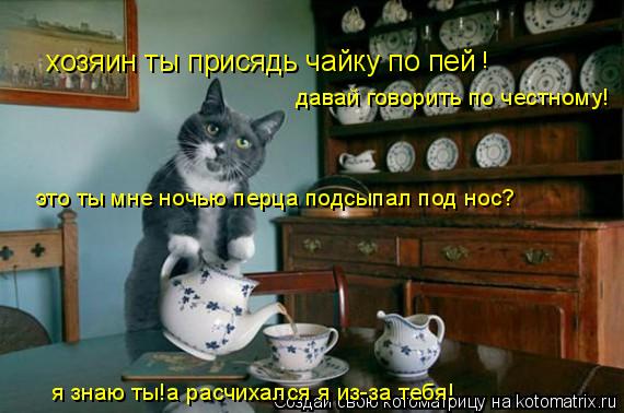 Котоматрица: хозяин ты присядь чайку по пей  давай говорить по честному! это ты мне ночью перца подсыпал под нос? я знаю ты!а расчихался я из-за тебя! !