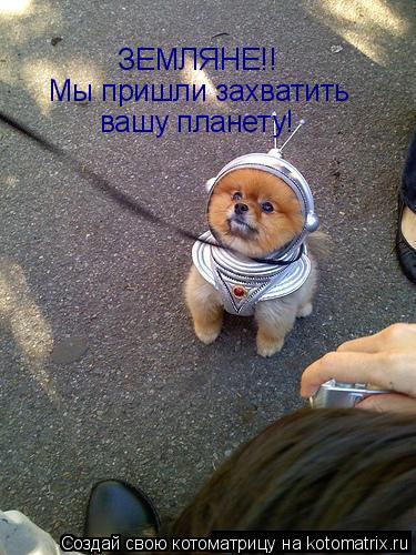 Котоматрица: ЗЕМЛЯНЕ!! Мы пришли захватить  вашу планету!